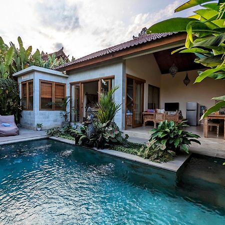 Villa Ulun Mertha - 1Br Private Villa Ubud Cameră foto